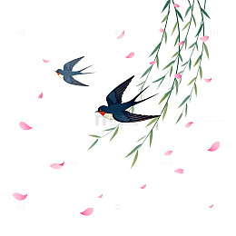 春日燕子柳枝插画