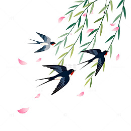 水墨燕子春天插画