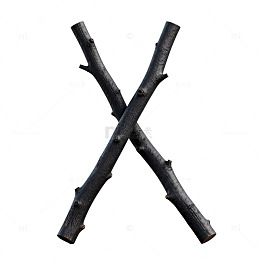 树枝拼成字母X造型