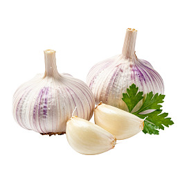 新鲜大蒜与香菜图片