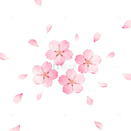 樱花飘落春天插画