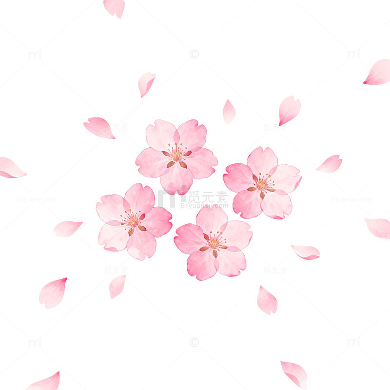 樱花飘落春天插画