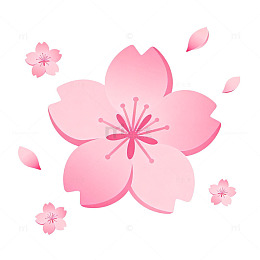 樱花插画设计元素