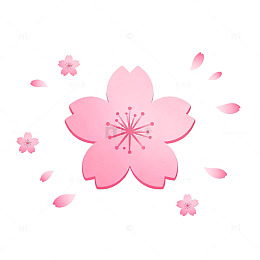 樱花飞舞清新插画