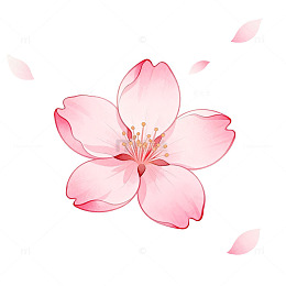 水彩樱花盛开插画设计素材
