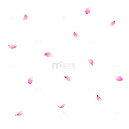 粉红花瓣散落背景