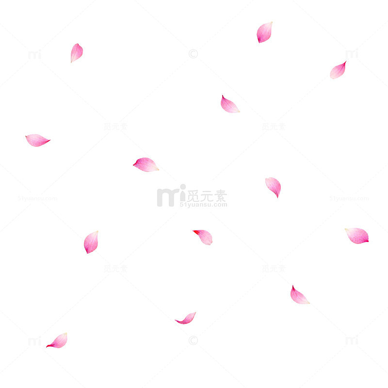 粉红花瓣散落背景