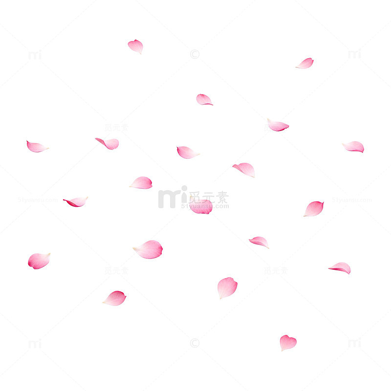 粉色花瓣飘落图案