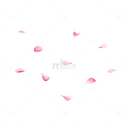 粉色花瓣散落背景