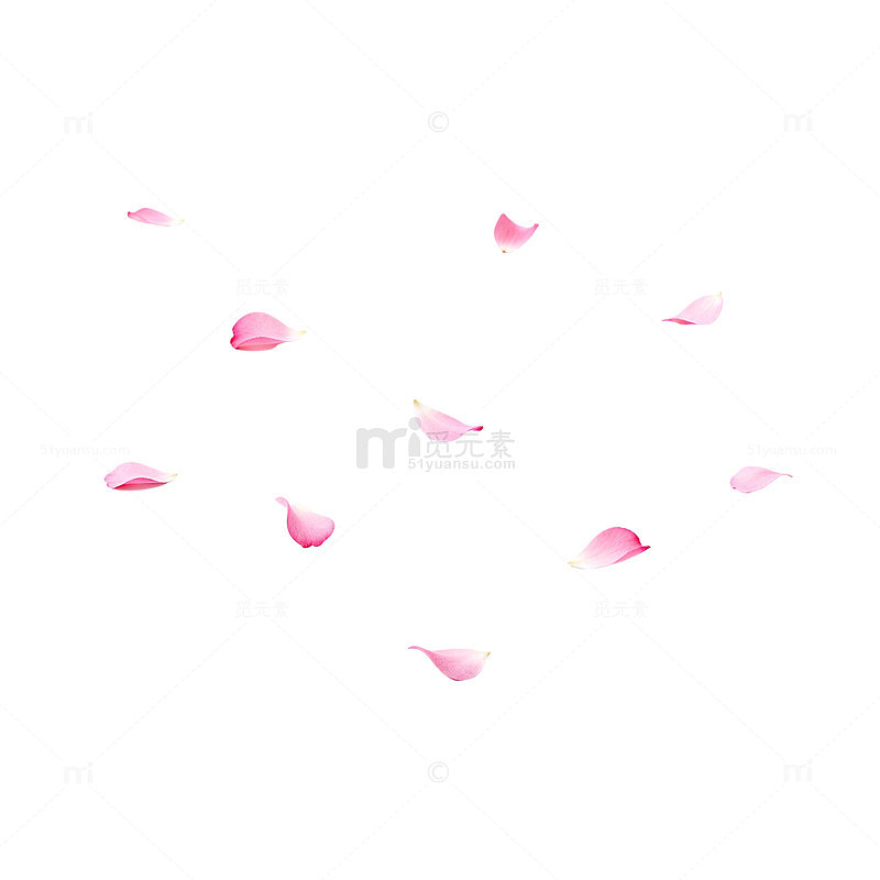 粉色花瓣散落背景