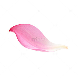 花瓣素材粉色优雅