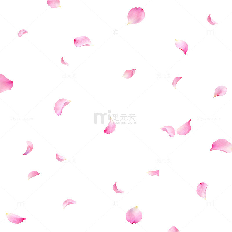 粉色花瓣飘落背景图