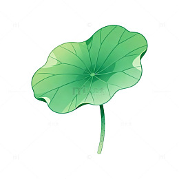 绿色荷叶卡通插画