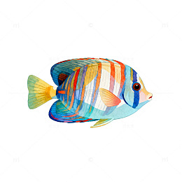 海洋鱼水彩画