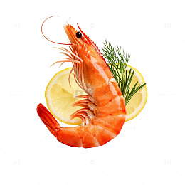 海鲜美食虾片插画素材