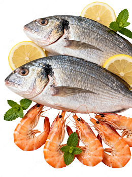 海鲜美食摆盘