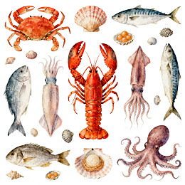 海洋生灵水彩画