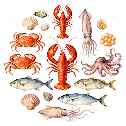 海洋生物水彩画素材