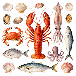 海洋生物水彩画