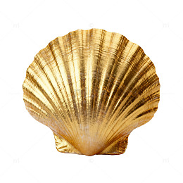 金色贝壳装饰工艺品