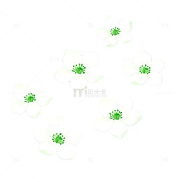 清新简约白花插图