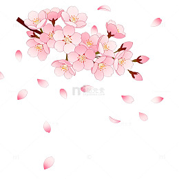 樱花飘落春季插画元素