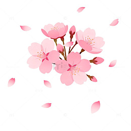 粉色樱花插图装饰素材