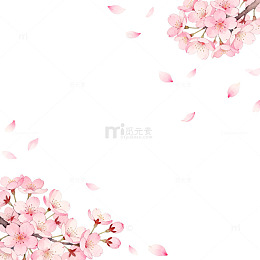 樱花飘落春天主题插画设计素材