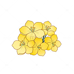卡通风格黄花花卉插图