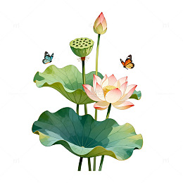 水彩荷花蝴蝶装饰画
