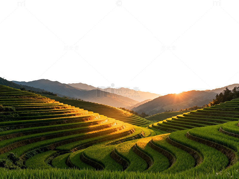 田园风光梯田日落美景