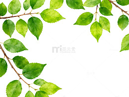 绿叶边框装饰设计素材