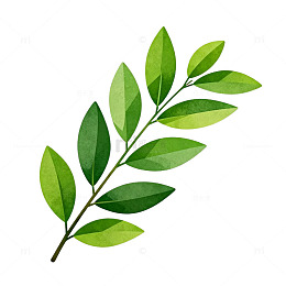 水彩绿叶植物插画设计素材