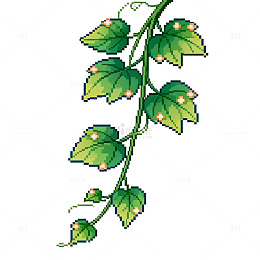 藤蔓植物插画素材