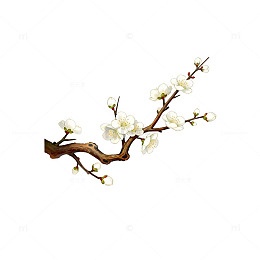 梅花插画古风淡雅