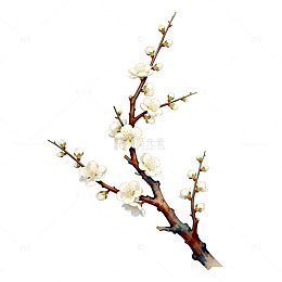 早春梅花盛开水墨画