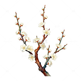 梅花装饰画插画设计元素