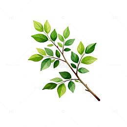 水彩绿植插画