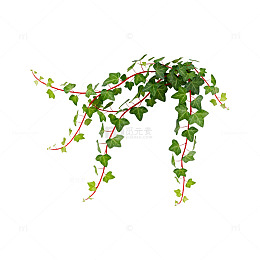 绿藤植物攀爬图案