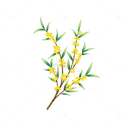 春天黄色花朵插画