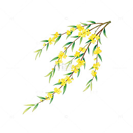 春天花卉插画