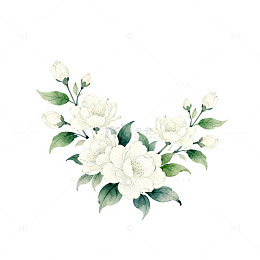 水彩茉莉花插画装饰图案
