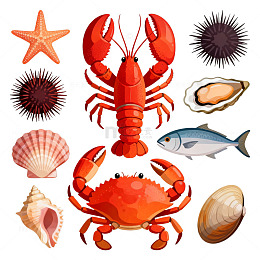 海洋动物插画素材
