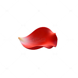 红色花瓣矢量插图