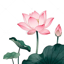 中国风水墨荷花插画设计元素