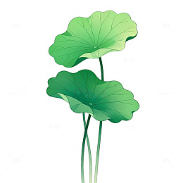 绿色荷叶矢量插画