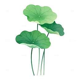 简约荷叶水墨画素材