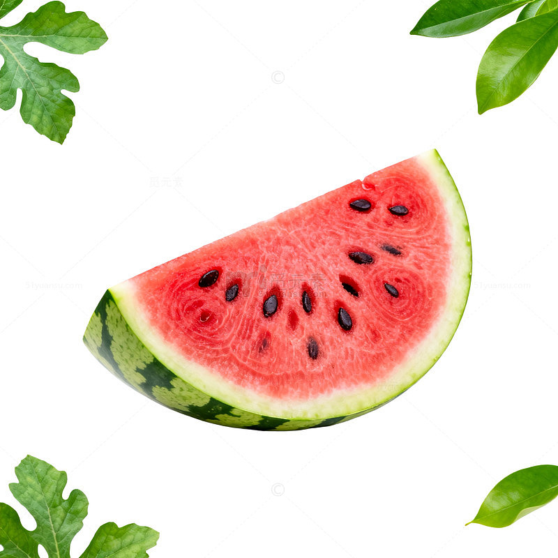 清新夏日西瓜水果插画素材