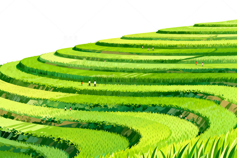 梯田风光绿色田园插画素材