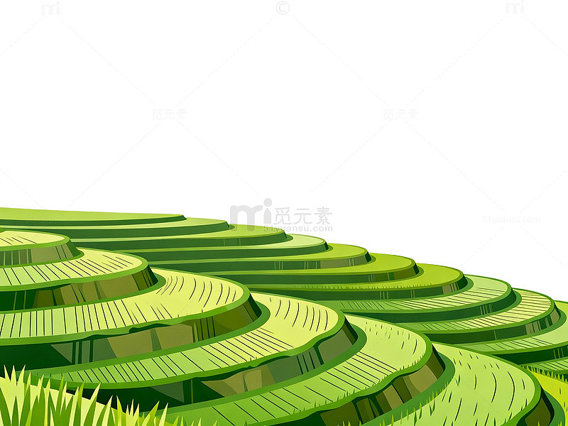 绿色梯田景观插画素材
